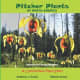 Pitcher Plants of North America - A Carnivorous Plant Story by Kathleen J. Honda 
