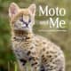 Moto and Me : My Year as a Wildcat's Foster Mom by Suzi Eszterhas