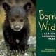 Born Wild in Glacier National Park by Donald M. Jones