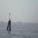 Mist on the Venetian lagoon (c) A. Harrison