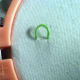 Figure 1: Create a loop on the top side of your fabric by making a straight stitch and not pulling the stitch all the way through.