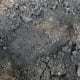 Alleged Bigfoot Footprint