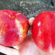 Washing vegetables is easy and gives me peace of mind with my biodegradable hand sanitizer.