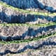gathering-curing-and-braiding-sweetgrass