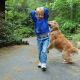 Golden Retrievers love to play with kids.