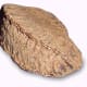 This is a single Brazil nut.