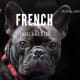 Yes, French Bulldogs are French, but their ancestors originated from elsewhere.