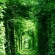 The Tunnel of Love in Ukraine