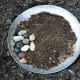 I arranged some river rocks on the soil to give the butterflies places to perch.