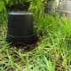 Stump covered with bucket (side view)