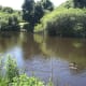 How to Build an Artificial Fishing Lake - Dengarden - Home and Garden