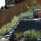 how-to-save-money-on-a-backyard-terracing-project