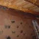 Mud application to rammed earth tire walls.