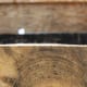 Close-Up of the Top of the Log Lopped Off