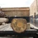 Top of the Log Lopped Off