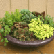 Stone pot