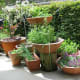 Herb pots