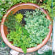 Herb pot