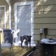 Priming around the door, once caulking has been applied and allowed to dry. Dog is optional.