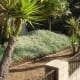 Drought tolerant plants need hardly any watering. That section of the landscape needs a station of its own, with its own watering schedule, or the plants will be overwatered.