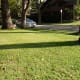 Without thinking, most people schedule their sprinkler systems to water flat turf, whether or not it's best for the other types of plantings there.