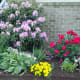 A mature Rhododendron shrub adds depth and new color to this space.