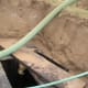 Outlet end showing pipe to leach lines