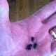 how-to-remove-a-broken-or-stripped-screw