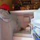 Now move the food to the other side to clean the remainder of the cabinet.