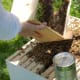 Installing bees into a hive