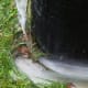 Grass loves to build up on the outer base of the coils.