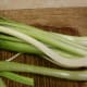 The core of the leek is easily removed.