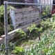 vertical-gardening-ideas-garden-trellis-for-vegetable-gardens