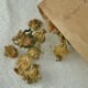 Allow harvested seed pods to dry in paper sacks for a few days.