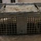This is our well-worn, humane rodent trap. It has seen a lot of use over the years and still works very well!