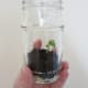 Add your plant.