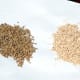 This is Oil-Dri material, shown in wet and dry form.