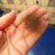 Hair taken from drain strainer after just a couple of days.