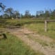 permaculture-the-basics