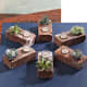 Brick planters with candles. An interesting idea for an indoor guest display, though these will need to be repotted fairly quickly.