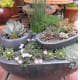 Placing pots within pots in order to created a layered garden is a great idea when short on space outside.