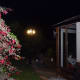 Decking lit up at night by the lamppost.
