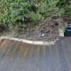 Decking following the contours of the flowerbed.
