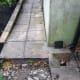 Bottom of soakaway plugged with 6 inches of concrete and channel dug for new drainage pipe.