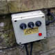 The old switch which the foxes loved chewing on.