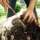 Sifting through all the roots and soil, I discovered even more.
