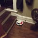 review-of-the-vanigo-smart-robot-vacuum-cleaner