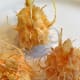 Close-up look of the spiky, fibrous seeds.