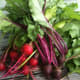 This photo shows some freshly-harvested Detroit red beets (left) and Chioggia beets, both of which are heirloom varieties. Most gardeners prefer heirloom varieties of vegetables, citing exceptional taste as the main reason.