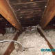 Black mold and frost on roof decking and roofing nails caused by inadequate ventilation